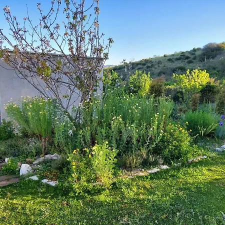 Quinta Treewindbee Tatil Evi