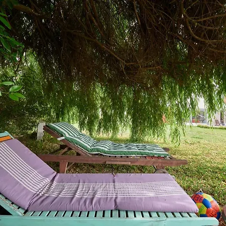 Quinta Treewindbee *