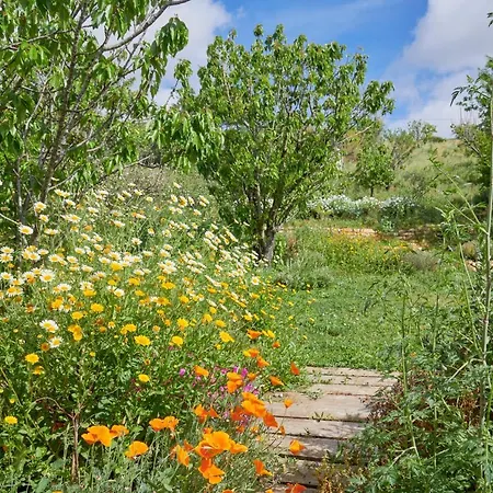 Quinta Treewindbee Feriehus