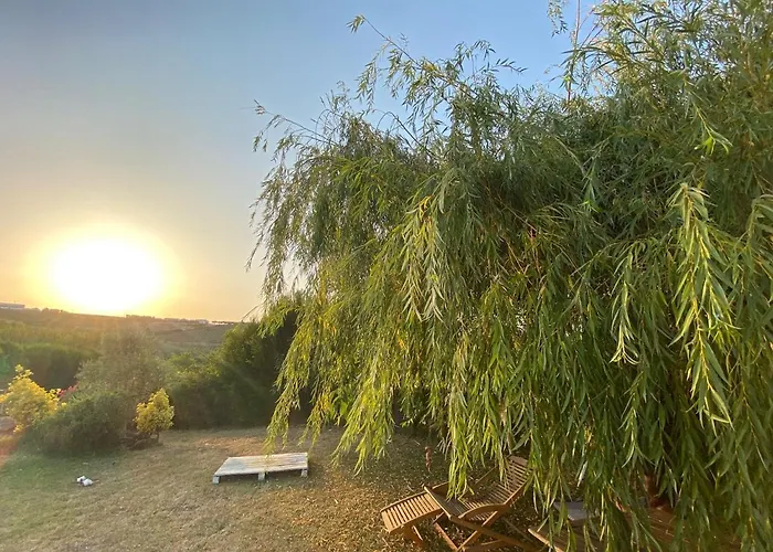 Quinta Treewindbee Vakantiehuis Alenquer