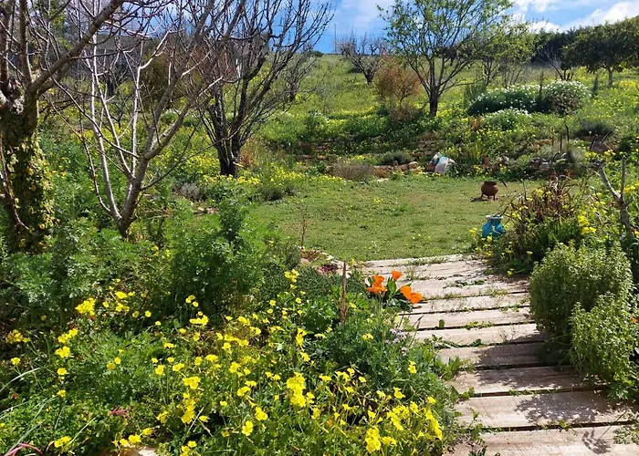 Quinta Treewindbee Tatil Evi *