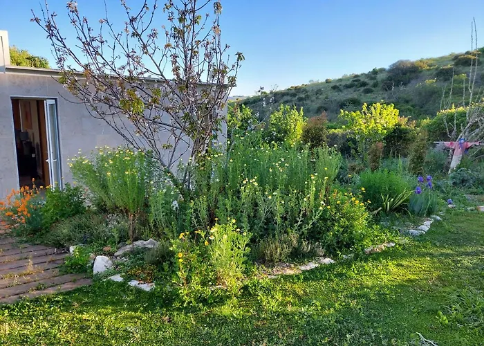 Quinta Treewindbee Tatil Evi