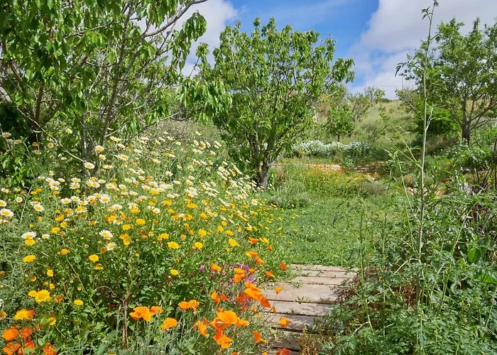 Quinta Treewindbee Tatil Evi